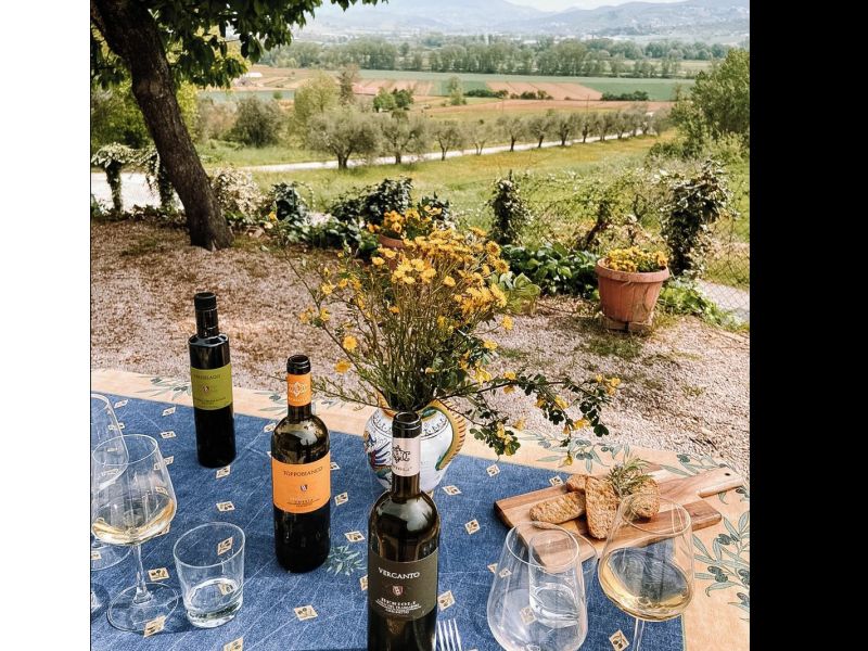 Degustazioni dei vini biologici della Cantina Berioli: un'esperienza sensoriale tra i vigneti dell'Umbria nelle verdi colline del Lago Trasimeno.